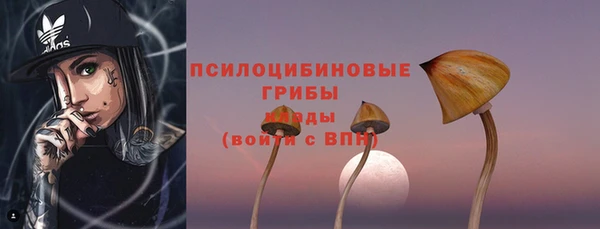 apvp Краснотурьинск