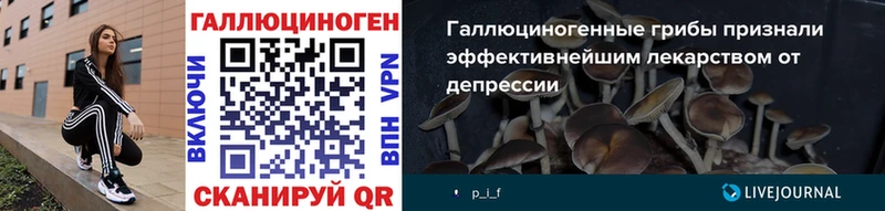 Купить где  Боровичи  Галлюциногенные грибы прущие грибы 