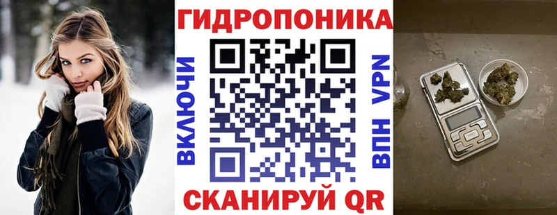 Бошки марихуана OG Kush  Купить закладки  Боровичи 